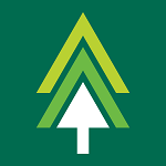 nTree Timesheets logo